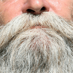 A beard, representing the concept of hosting a beard challenge as a fundraising idea.