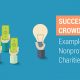 Successful crowdfunding examples for nonprofits and charities.