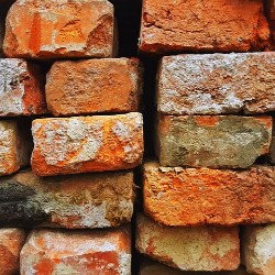 Host a Buy A Brick fundraiser to raise money for your university.