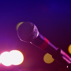 Host a karaoke night as a fundraising idea for adoption expenses.
