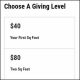 See the clear giving level examples for this crowdfunding campaign.