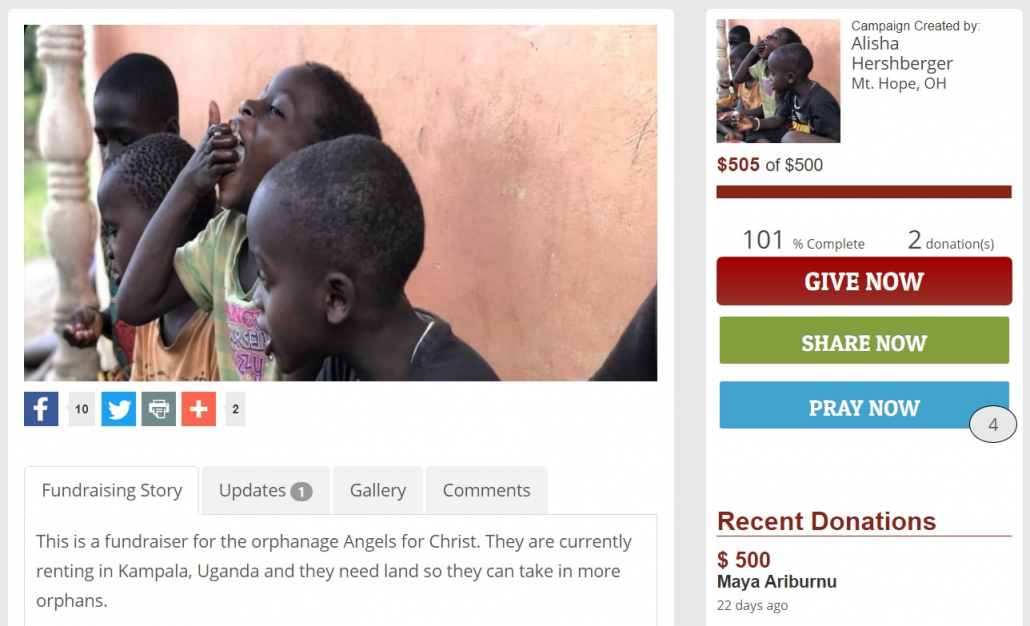 A screenshot of a crowdfunding campaign on the GiveSendGo website.