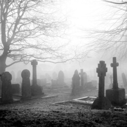 A foggy cemetery, representing the concept of ghost tours as a fundraiser idea.