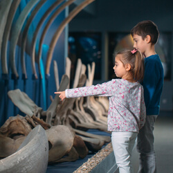 Two children looking at a museum exhibit.