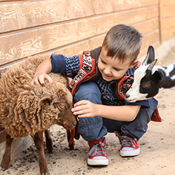 A child petting farm animals, representing petting zoos as a fundraiser idea.